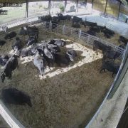 Barn CCTV systems
