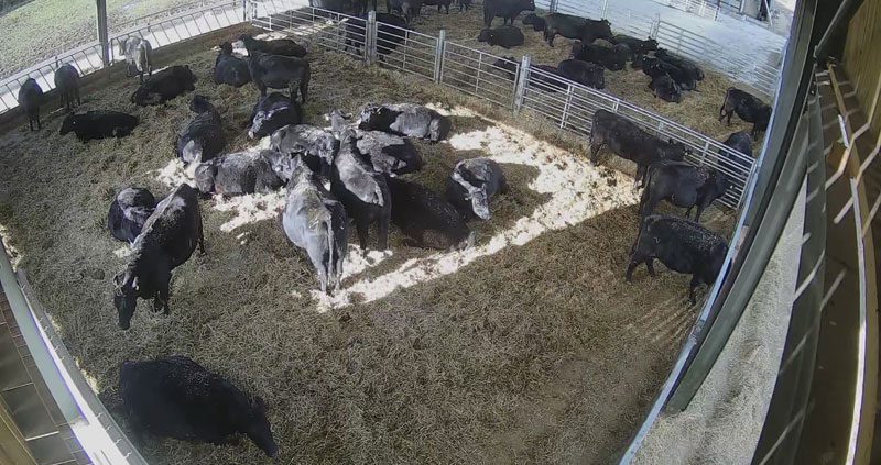 Barn CCTV systems